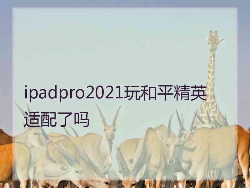 ipadpro2021玩和平精英适配了吗