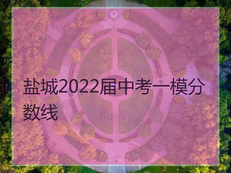 盐城2022届中考一模分数线