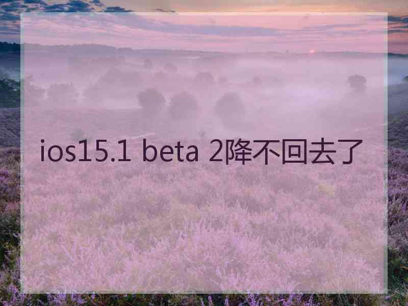 ios15.1 beta 2降不回去了