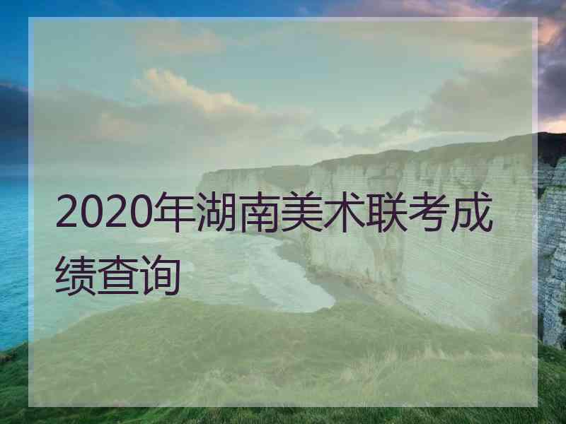 2020年湖南美术联考成绩查询