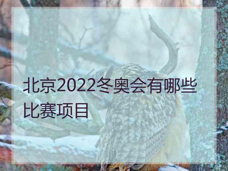 北京2022冬奥会有哪些比赛项目