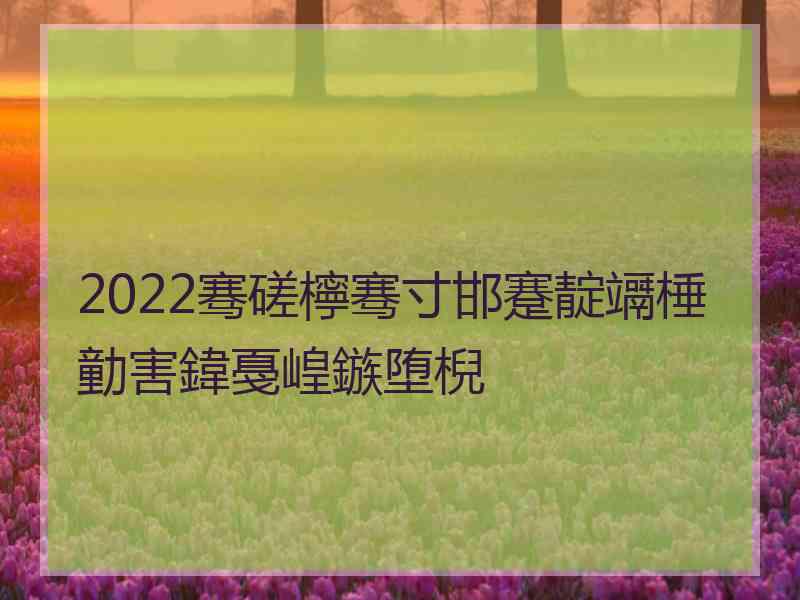 2022骞磋檸骞寸邯蹇靛竵棰勭害鍏戞崲鏃堕棿