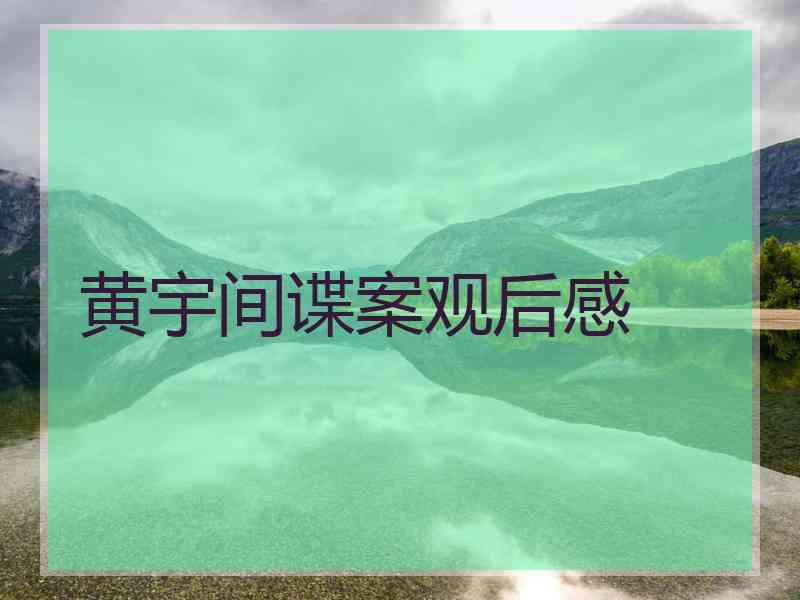 黄宇间谍案观后感