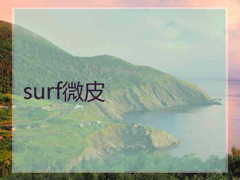 surf微皮