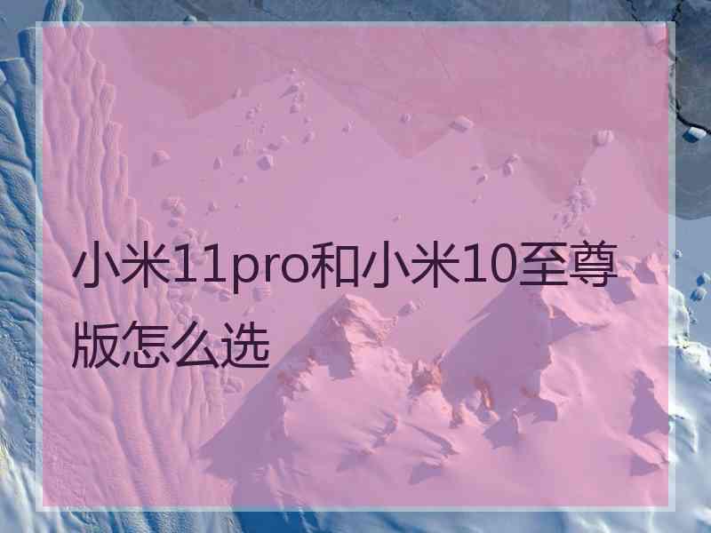 小米11pro和小米10至尊版怎么选