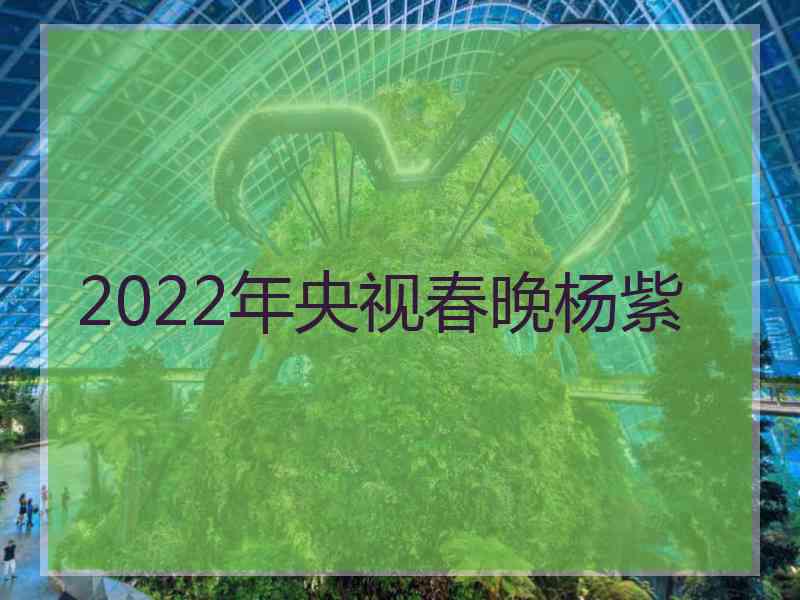 2022年央视春晚杨紫