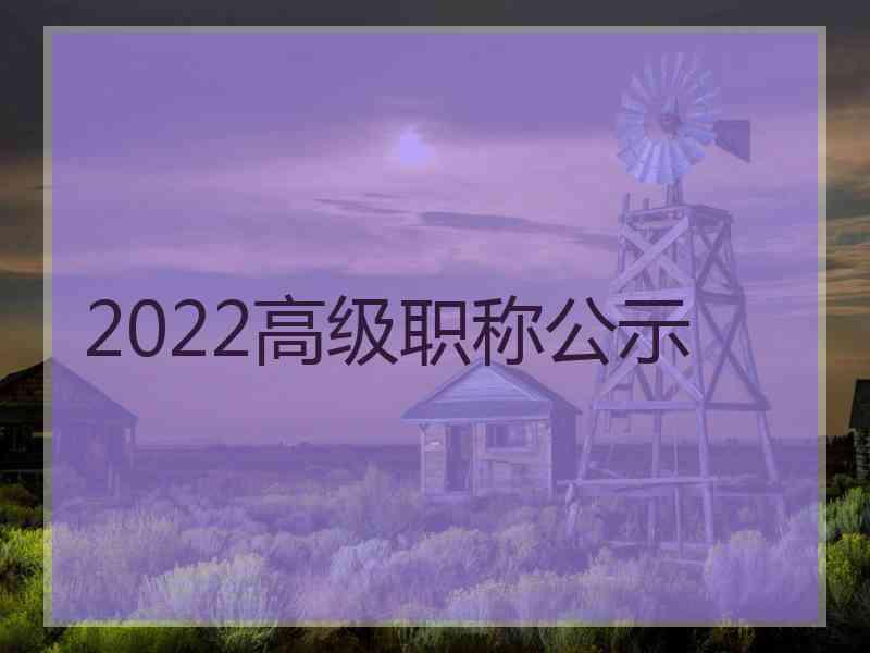 2022高级职称公示