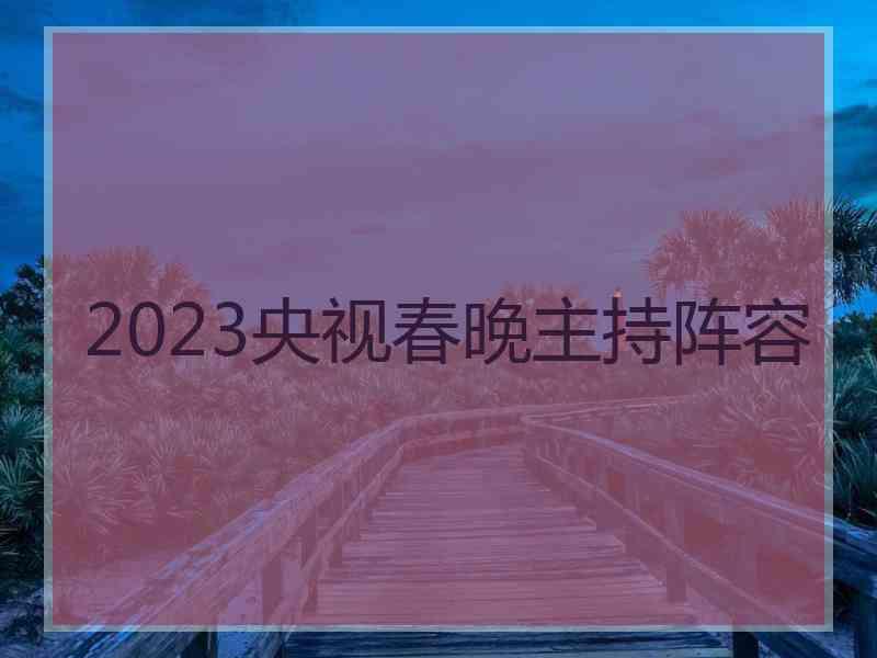 2023央视春晚主持阵容