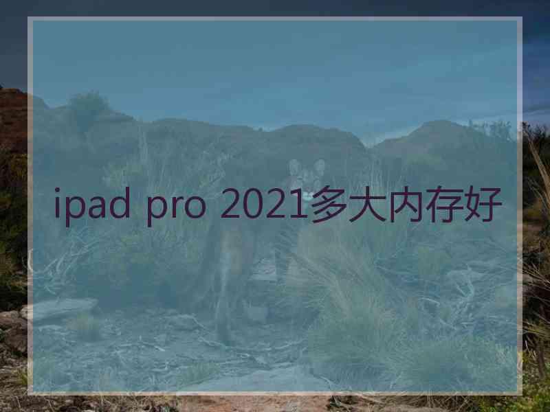 ipad pro 2021多大内存好