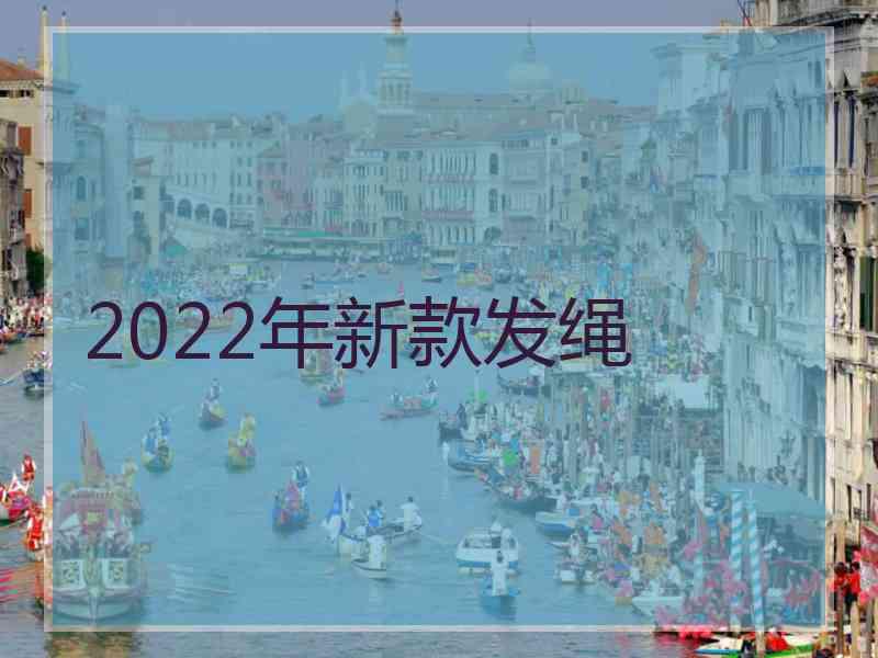 2022年新款发绳