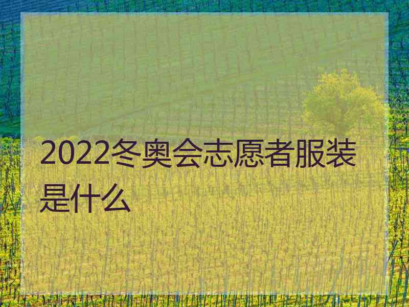 2022冬奥会志愿者服装是什么