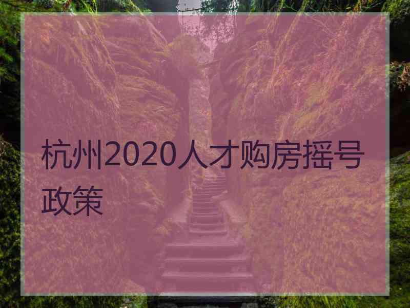 杭州2020人才购房摇号政策