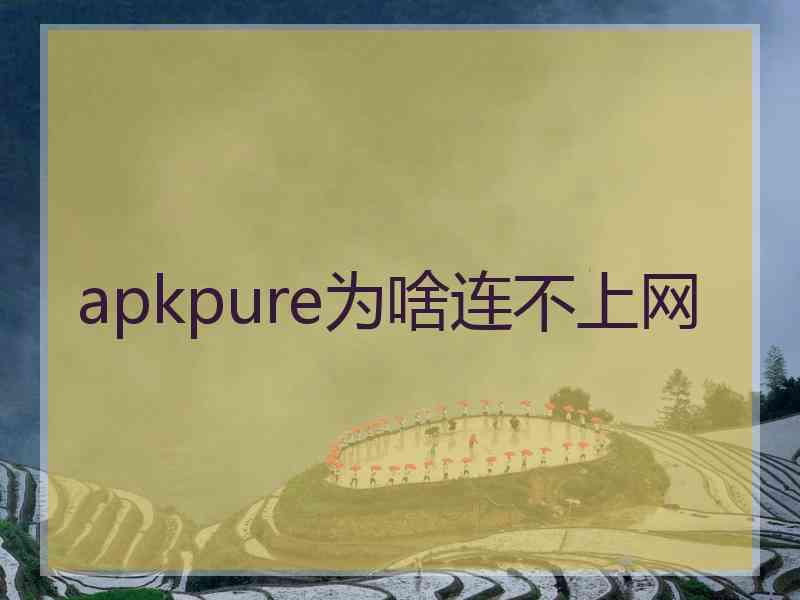 apkpure为啥连不上网