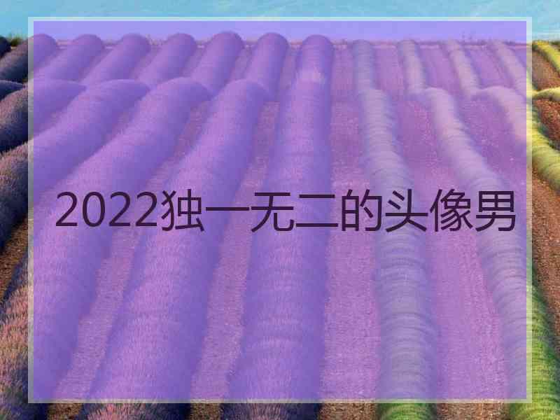 2022独一无二的头像男