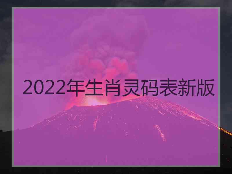 2022年生肖灵码表新版