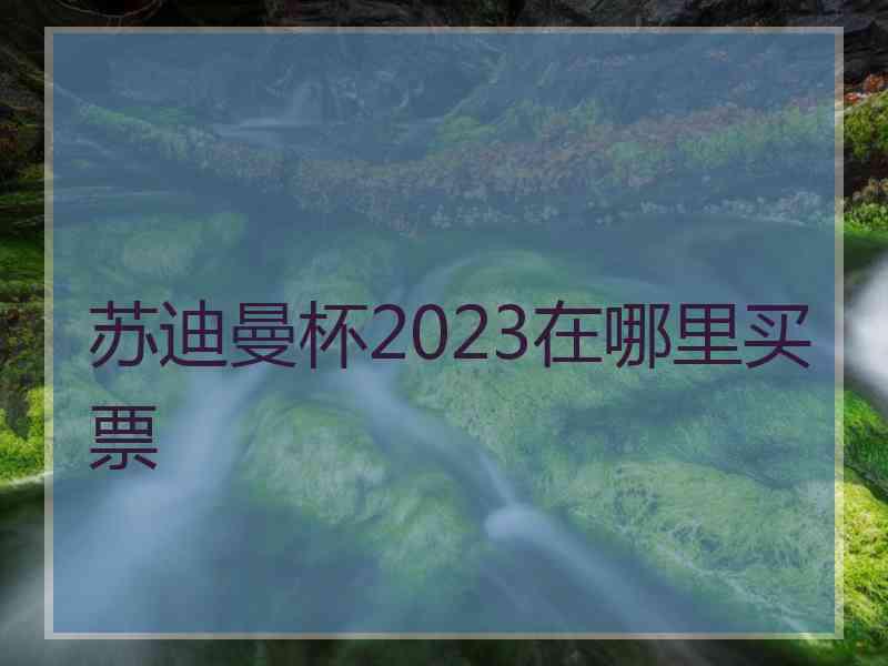 苏迪曼杯2023在哪里买票