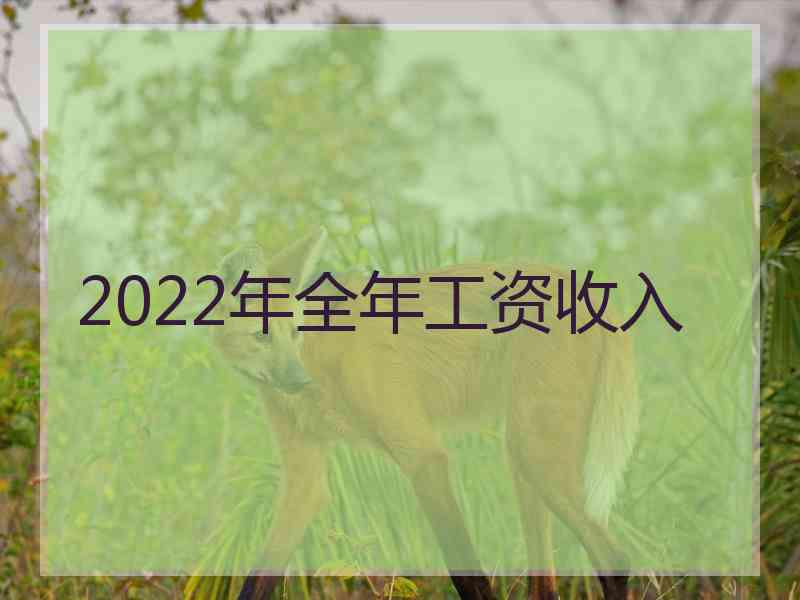 2022年全年工资收入