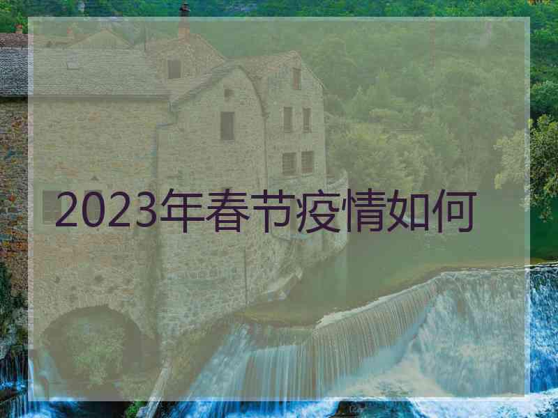 2023年春节疫情如何