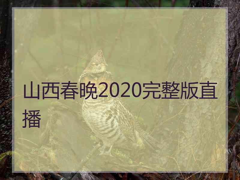 山西春晚2020完整版直播