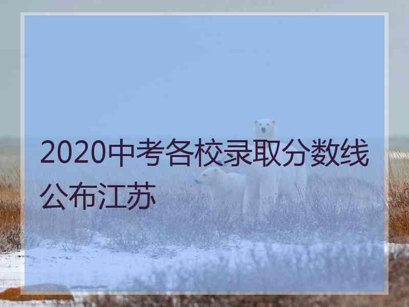 2020中考各校录取分数线公布江苏