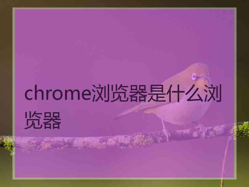 chrome浏览器是什么浏览器