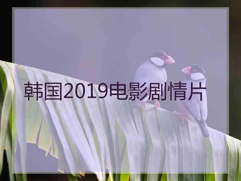 韩国2019电影剧情片