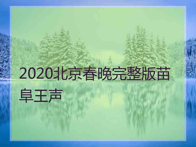 2020北京春晚完整版苗阜王声