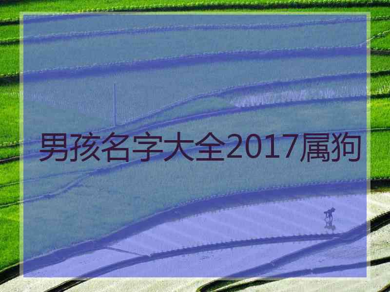 男孩名字大全2017属狗