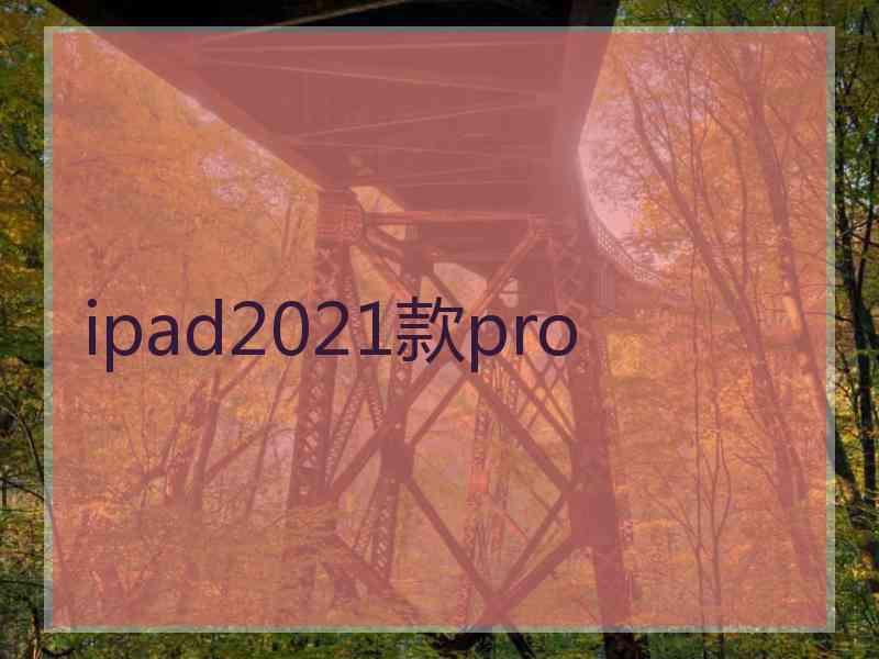 ipad2021款pro