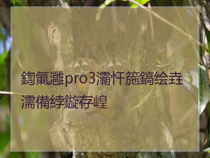 鍧氭灉pro3灞忓箷鎬绘垚濡備綍鏇存崲