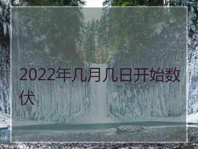 2022年几月几日开始数伏