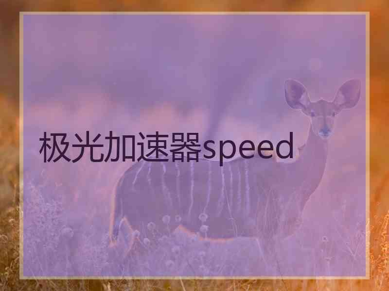 极光加速器speed