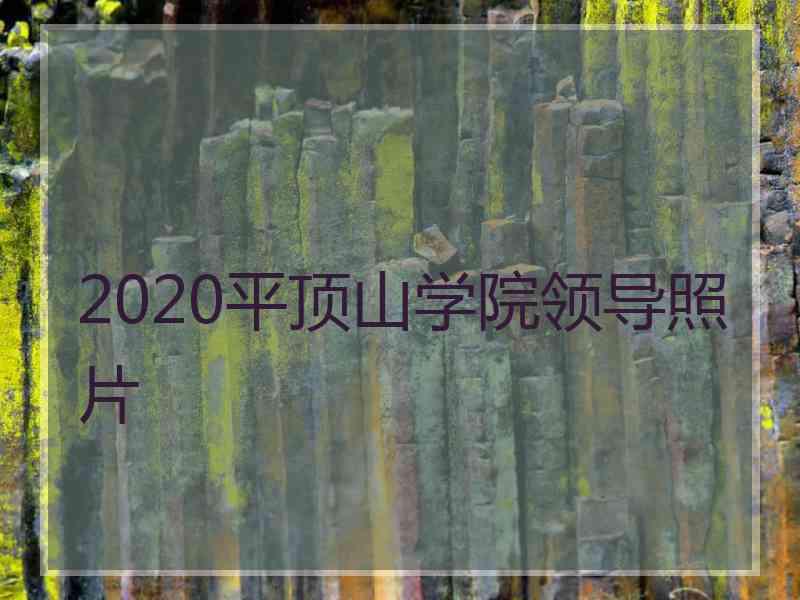 2020平顶山学院领导照片