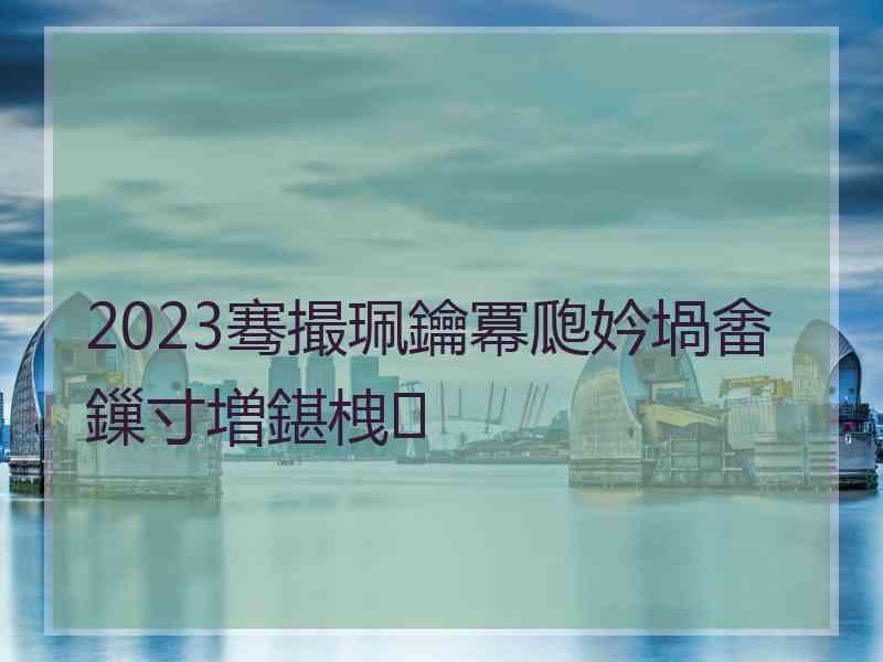 2023骞撮珮鑰冪瓟妗堝畬鏁寸増鍖栧