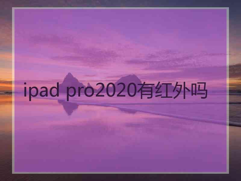 ipad pro2020有红外吗