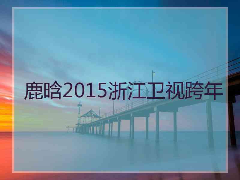 鹿晗2015浙江卫视跨年