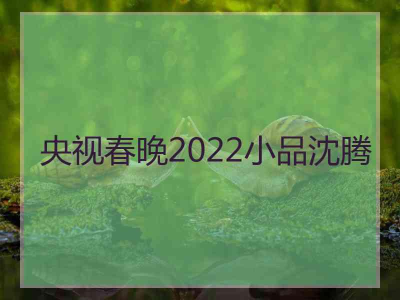 央视春晚2022小品沈腾