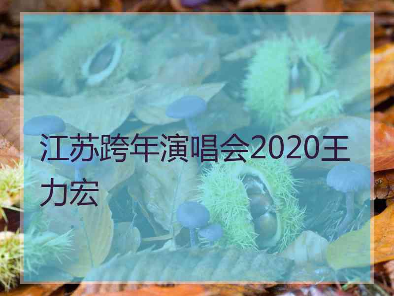 江苏跨年演唱会2020王力宏