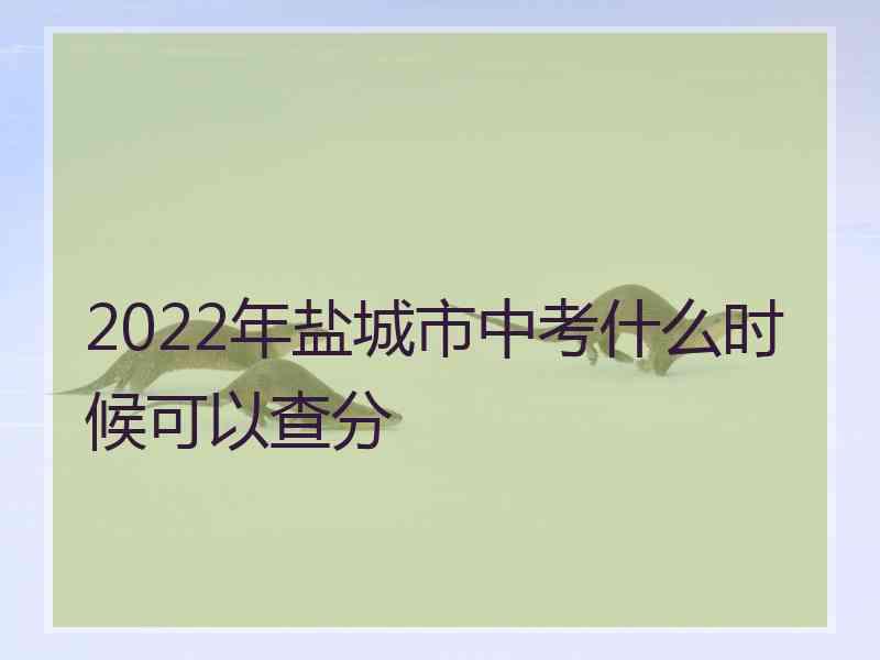 2022年盐城市中考什么时候可以查分