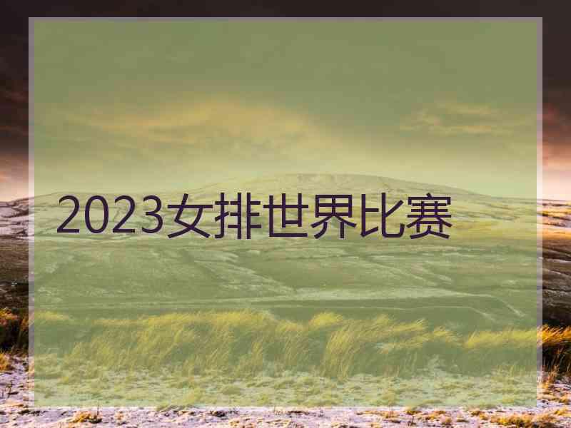 2023女排世界比赛