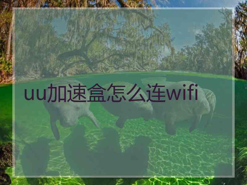 uu加速盒怎么连wifi