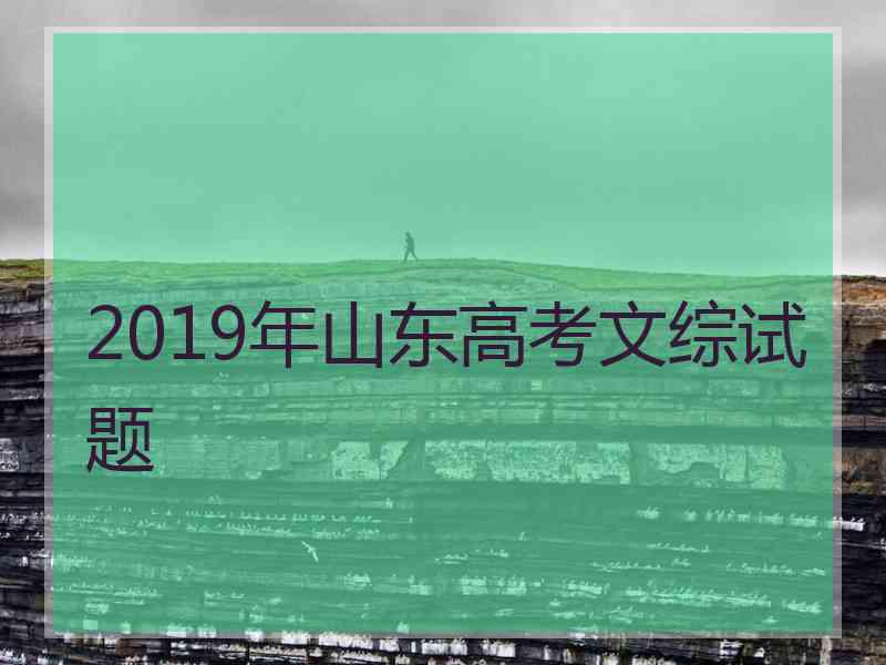 2019年山东高考文综试题