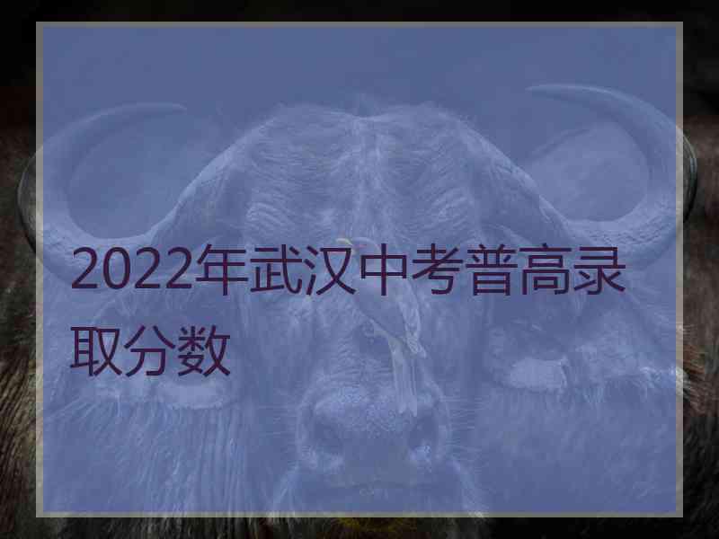 2022年武汉中考普高录取分数