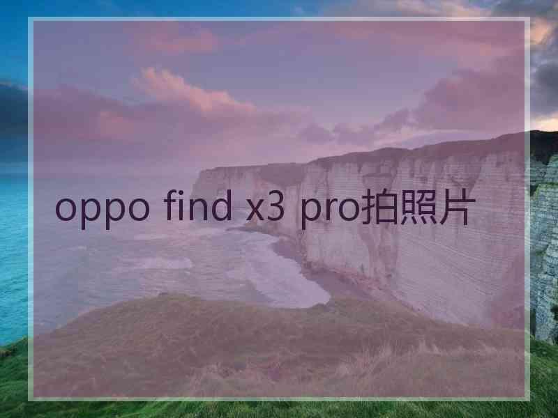 oppo find x3 pro拍照片