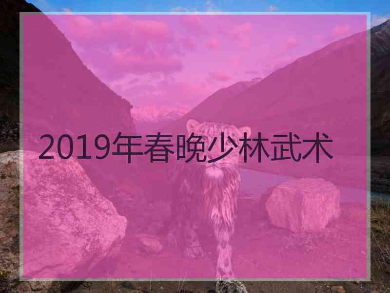 2019年春晚少林武术