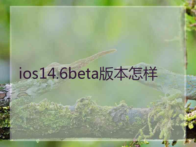 ios14.6beta版本怎样