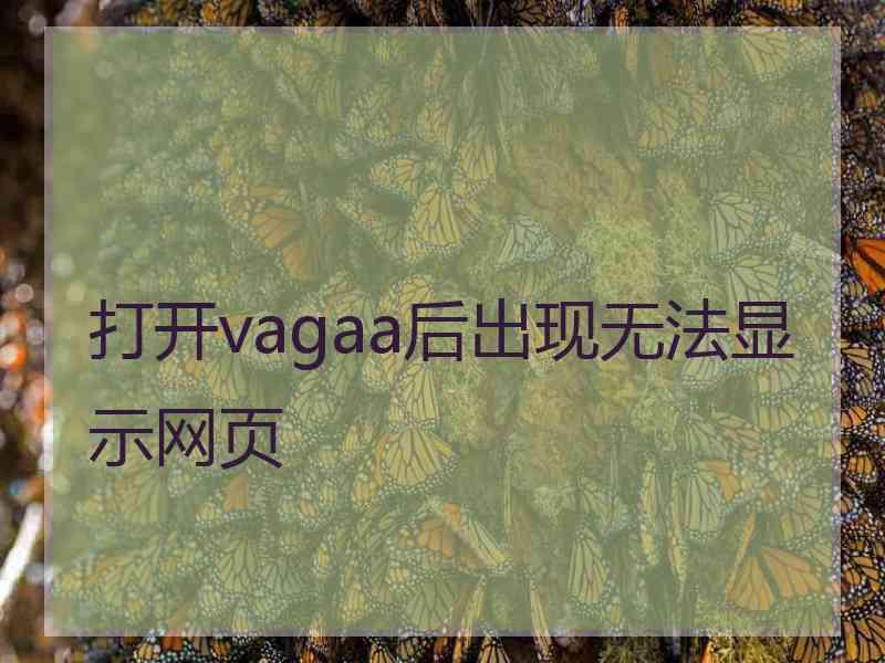 打开vagaa后出现无法显示网页