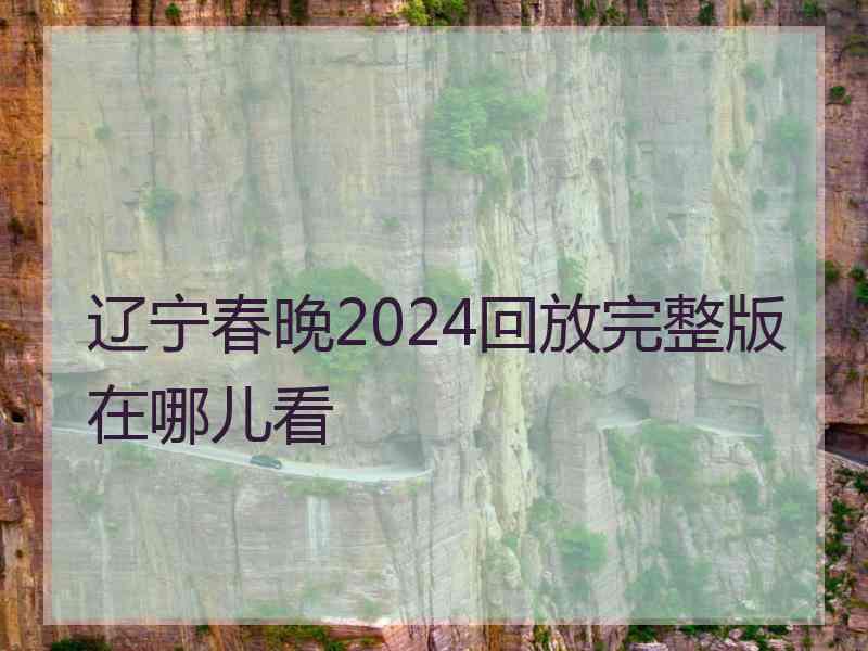 辽宁春晚2024回放完整版在哪儿看