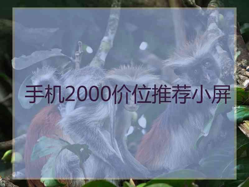 手机2000价位推荐小屏