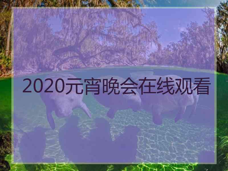 2020元宵晚会在线观看